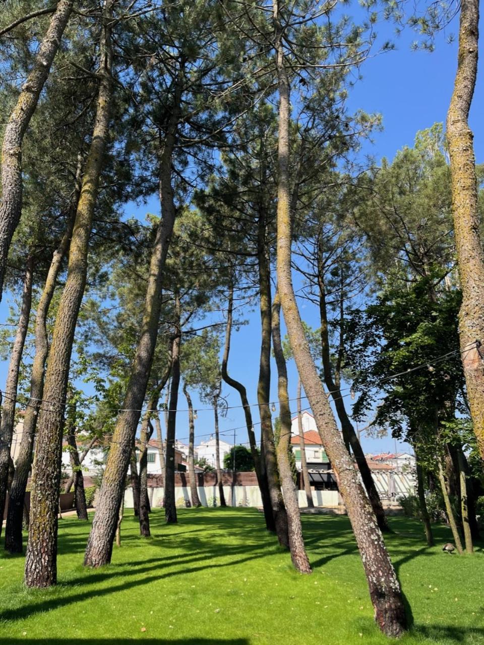 Casa Jardin El Colmenar Hotel Las Navas Del Marques Luaran gambar