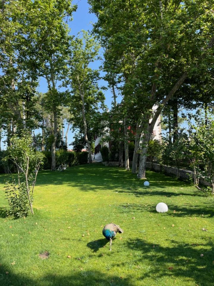 Casa Jardin El Colmenar Hotel Las Navas Del Marques Luaran gambar